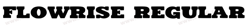 FLOWRISE Regular字体转换